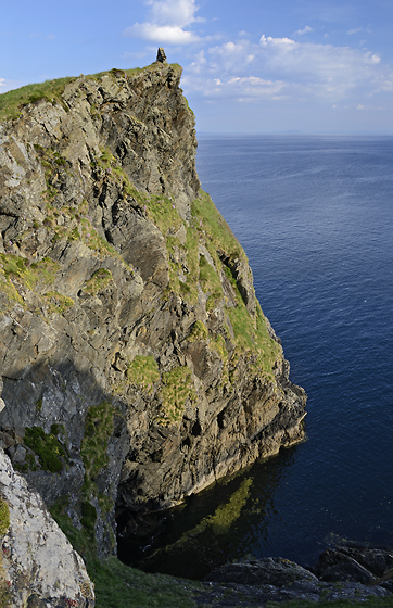 Cliff - smaller format
