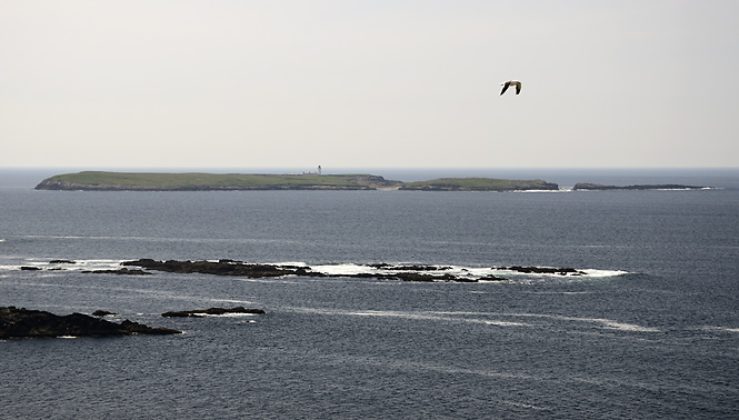 Rathlin O`Birne Island - men formt