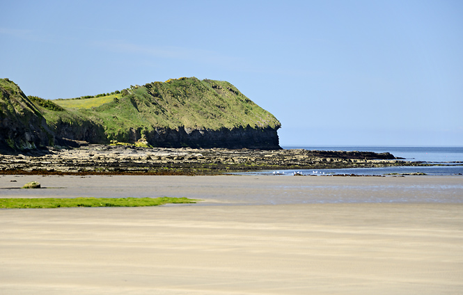 Beach - smaller format