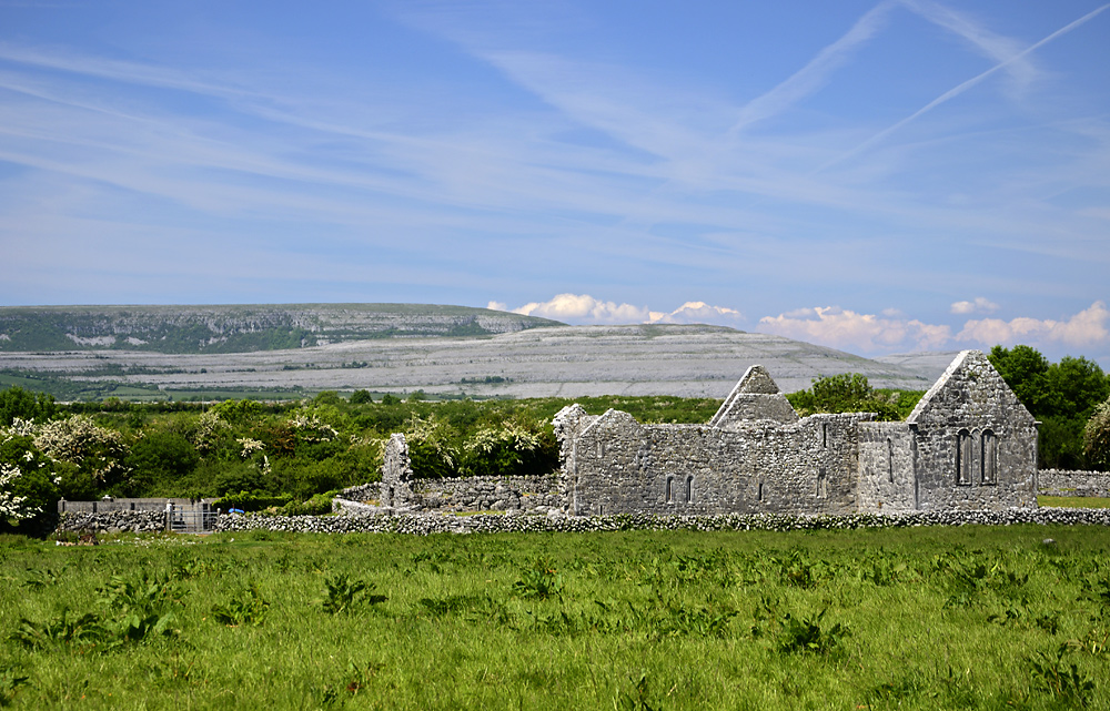 O`Heynes Abbey - larger format