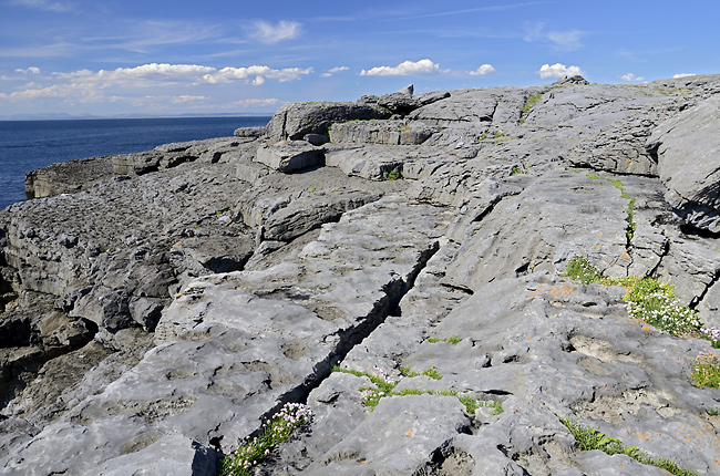 Over the cliffs - smaller format