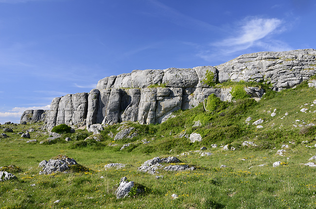 Walls - smaller format