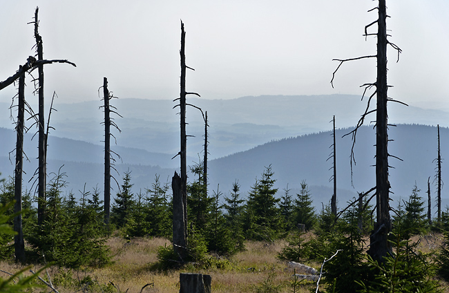 View to foothills - smaller format