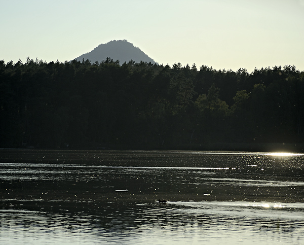 "Ronov" over the pond - smaller format