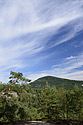 "Vlho" - main link
