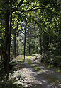On the "Goose Path" - main link