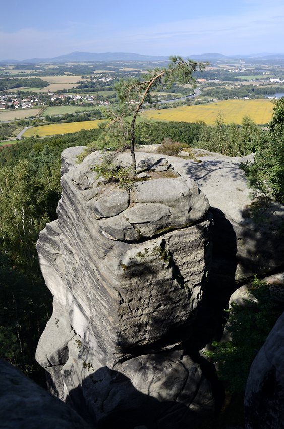 Na temenu - vt formt