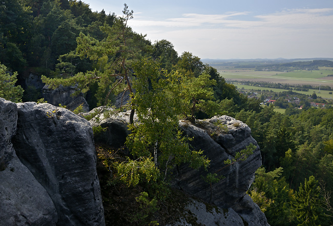 On the rock - smaller format