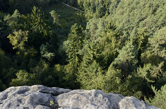 On the rock - smaller format