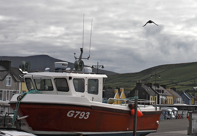 In the Dingle port - smaller format