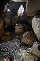 In the "Walhalla" - main link