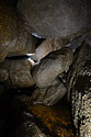 In the "Walhalla" - main link