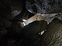 In the "Walhalla" - main link