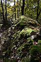 In an old quarry - main link