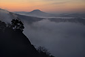 "Rose Hill" - main link