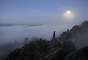Cool light - main link