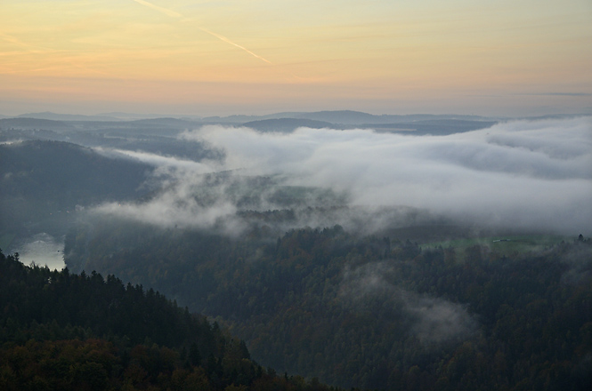 Mlha nad Labem - men formt