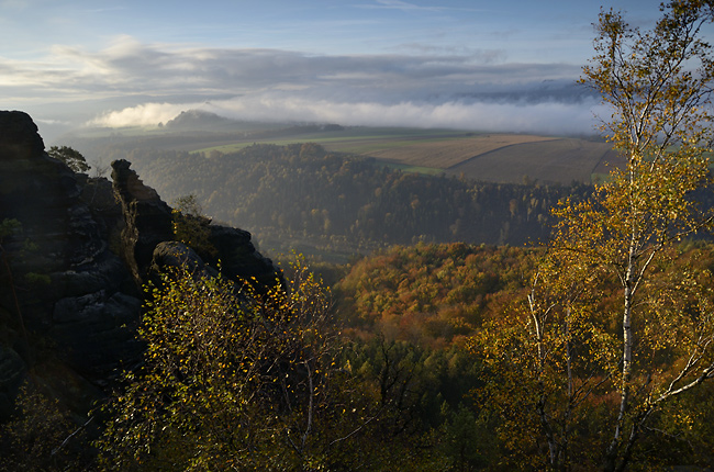 Mlhy nad Labem - men formt