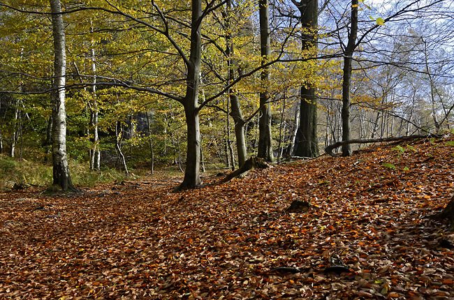 Autumn colors - smaller format