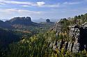 -steins - main link