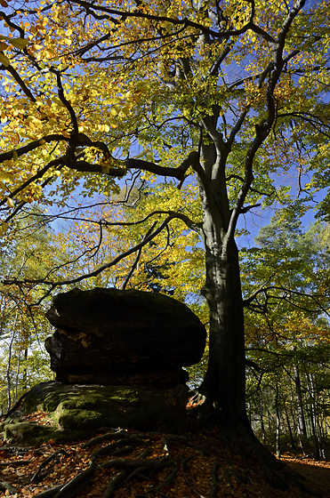 Rocky gate - smaller format