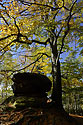 Rocky gate - main link
