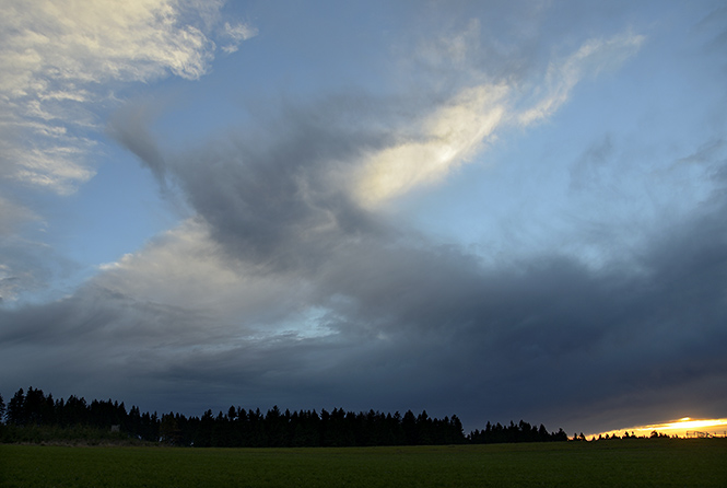 Evening on plains near "Slavn" - smaller format