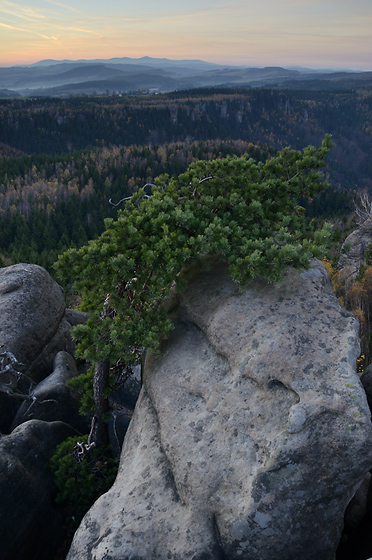 On the rock - smaller format