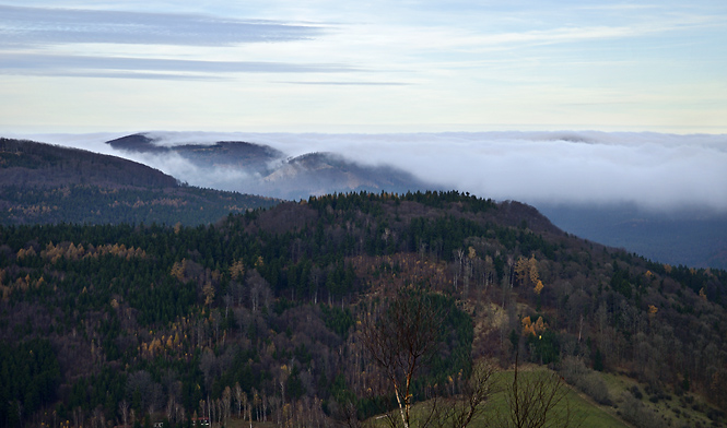 View to north - smaller format