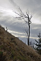 On the "Key Hill" - main link