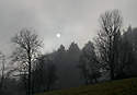 Foggy - main link