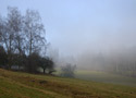 Foggy - main link