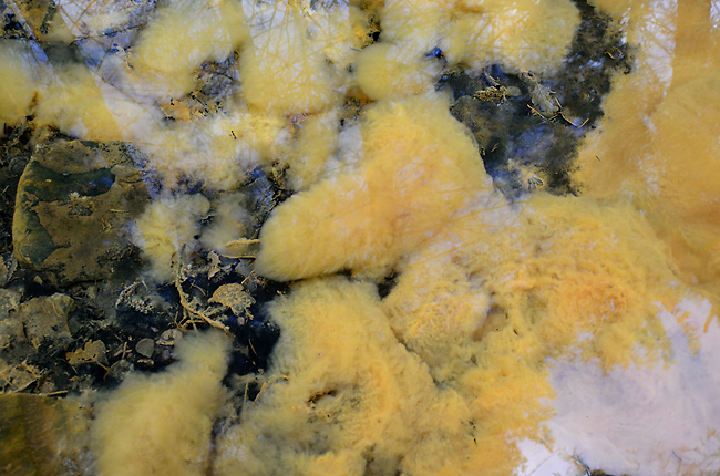 Sulphurous spring - smaller format