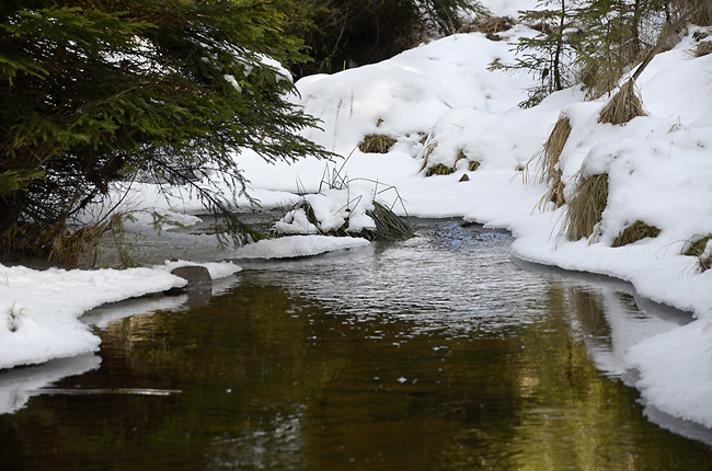 "Iron Mill Creek" - smaller format