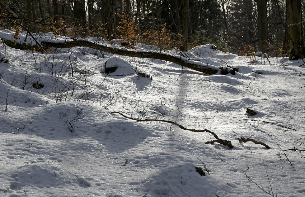 Winter scene - larger format