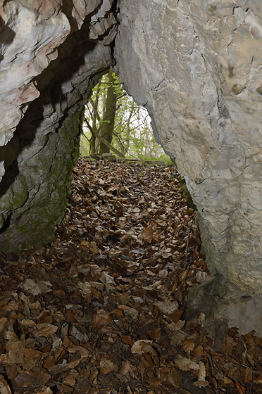 In the "Badger hole" - smaller format