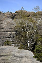 Over the "Smith`s Gorge" - main link