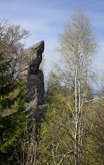 Sova - men formt