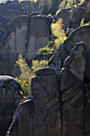 "Smith`s Gorge" from above - main link