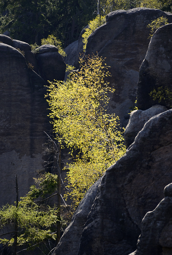 Over the "Smith`s Gorge" - larger format