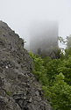 Castle in fog - main link