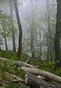 On "Ralsko" - main link
