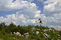 Over the "Hare Gorge" - main link
