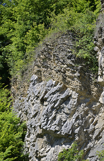 Thrust (fault) - smaller format