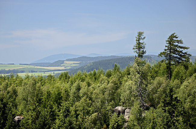 Vista to "Giant Mts." - smaller format