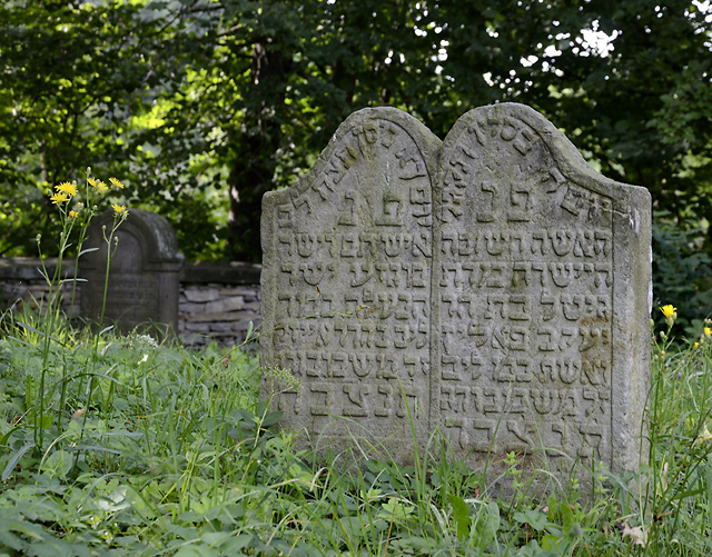 Jewish cemetery in "amberk" - smaller format