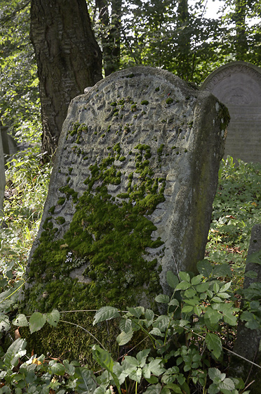 Jewish cemetery in "amberk" - smaller format