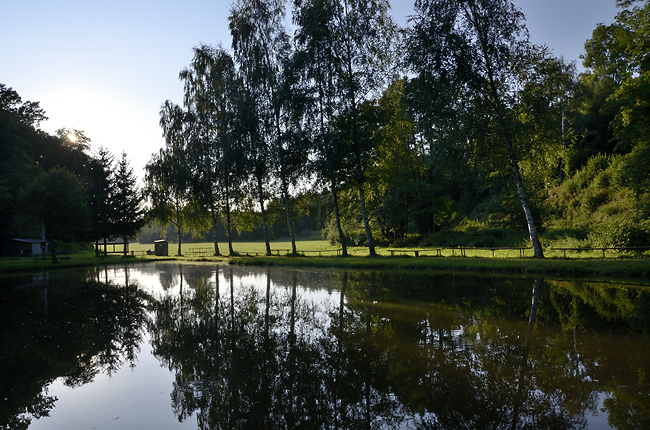 Pond - smaller format