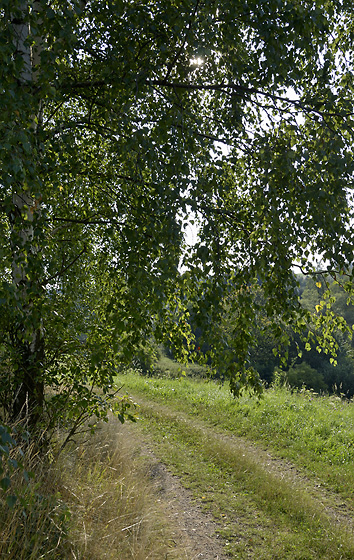 Path - smaller format