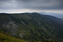Zlat nvr - hlavn odkaz